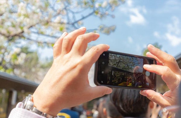 【浅草下車】オープントップバスで行く『TOKYOお花見バス』 都内の桜の名所をハイライトで巡る車窓観光ショートトリップ!(12:10出発)2